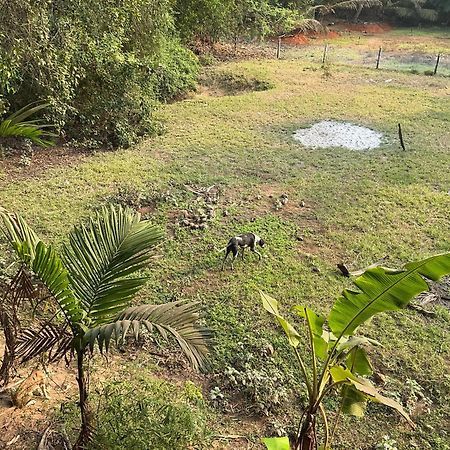 Hostelexp, Gokarna - A Slow-Paced Backpackers Community 外观 照片