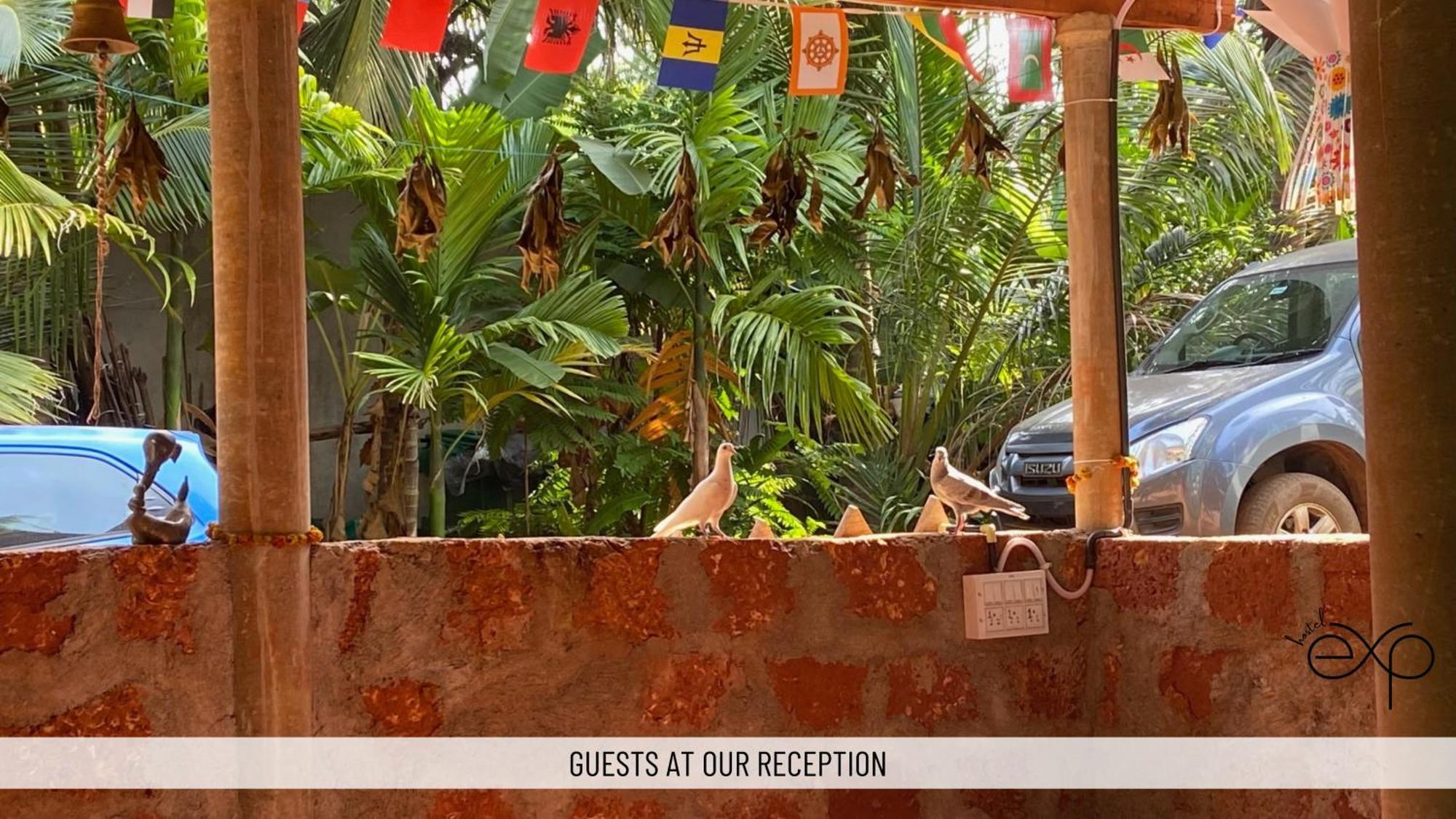 Hostelexp, Gokarna - A Slow-Paced Backpackers Community 外观 照片