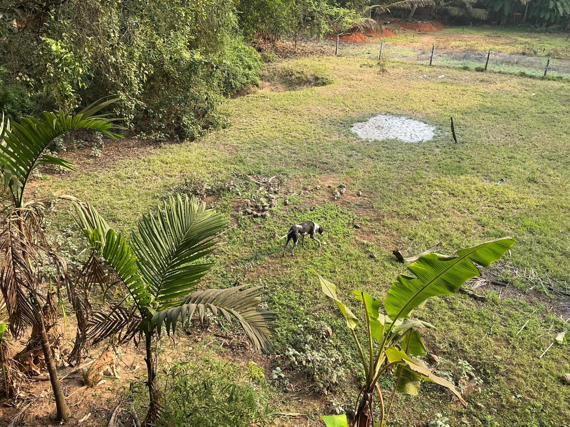 Hostelexp, Gokarna - A Slow-Paced Backpackers Community 外观 照片